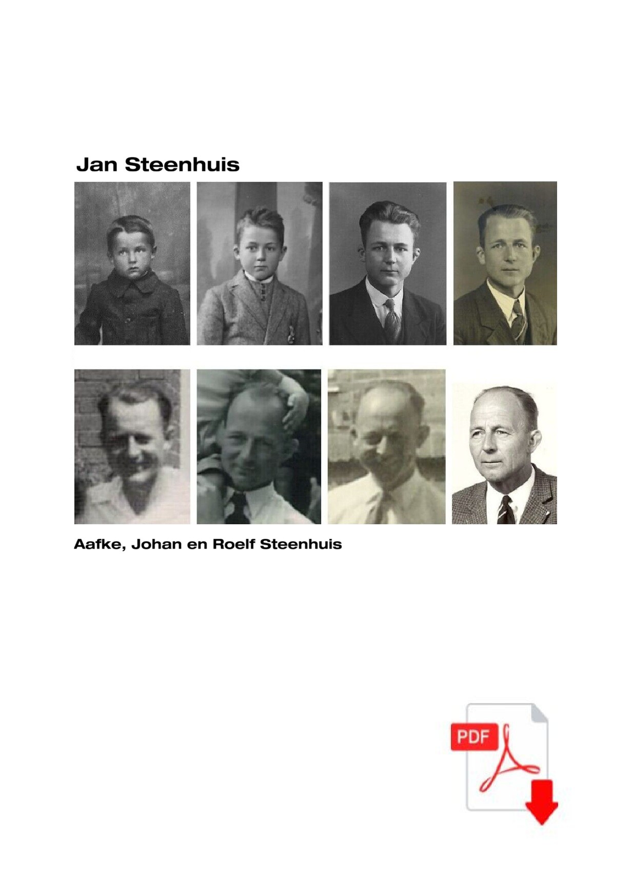 Steenhuis-pdf
